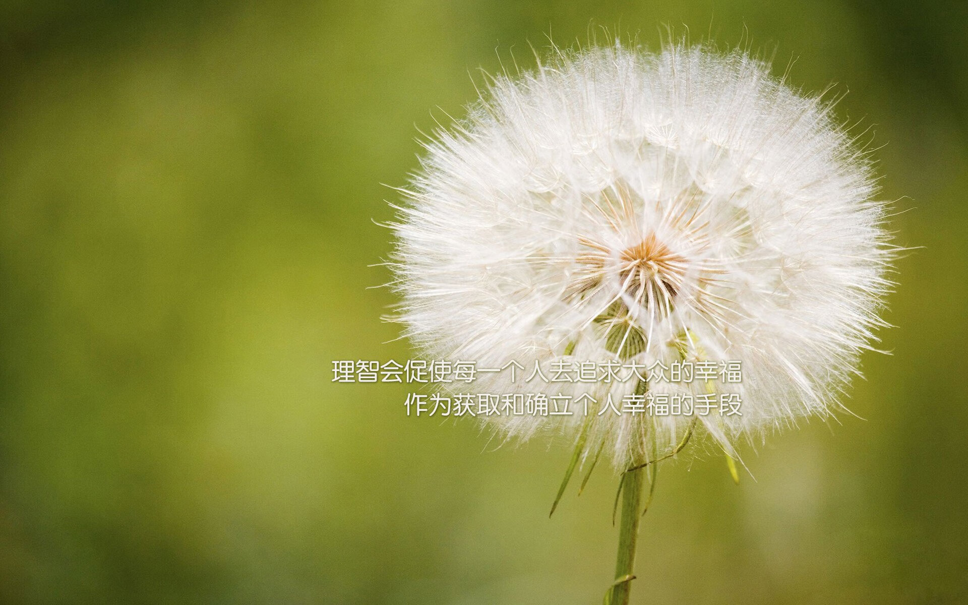 期货铁矿石多少钱一手(国内期货铁矿石一手要多少钱)