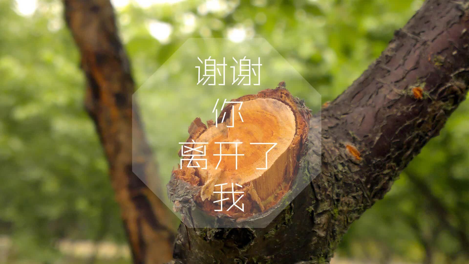 国内铁矿粉价格走势(铁矿石粉价格)